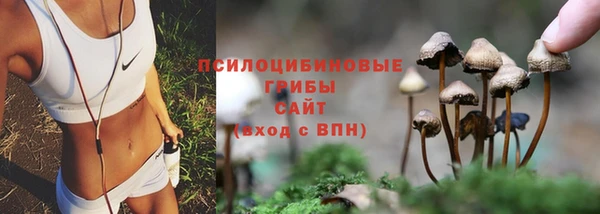 амф Абаза