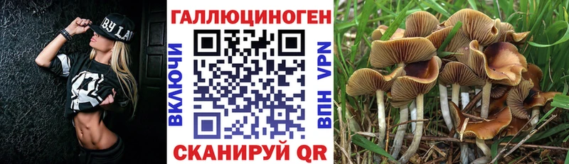 Псилоцибиновые грибы Psilocybe  хочу наркоту  MEGA ссылки  Архангельск 