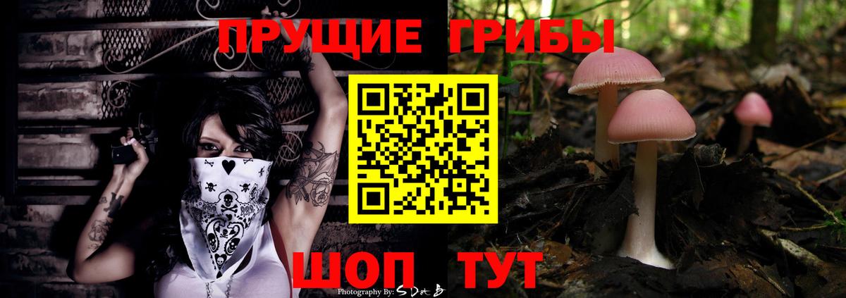 Псилоцибиновые грибы Psilocybine cubensis  Псилоцибиновые грибы MAGIC MUSHROOMS  Вход с VPN  Архангельск 