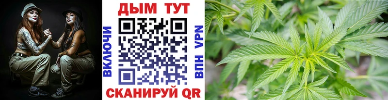 Бошки марихуана планчик  цена наркотик  Архангельск 